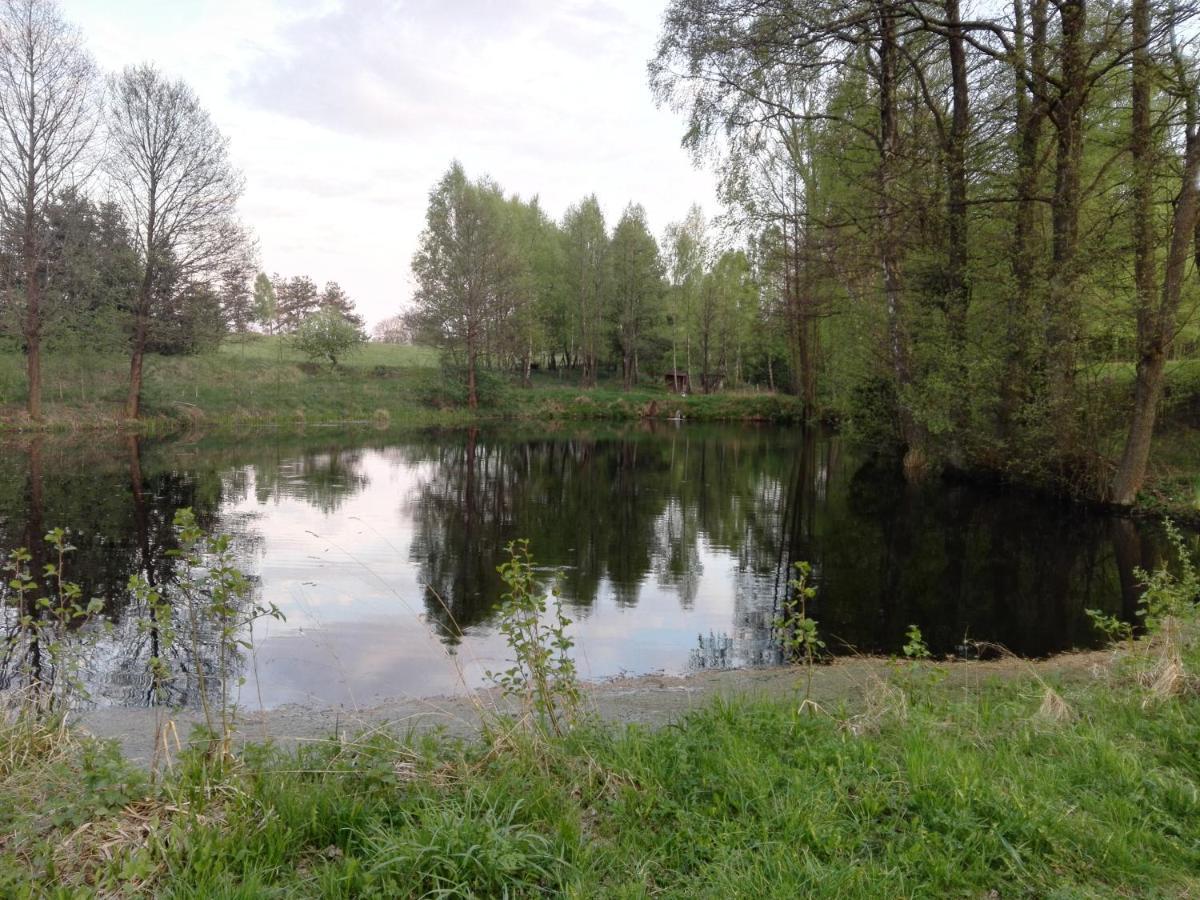 Kaszubska Dolina Pieciu Stawow Villa Wiele Luaran gambar
